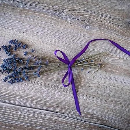 Landgasthof-wemmer Gasthof Großrückerswalde